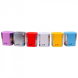 Plastic ER CLASSIC CCP1M13 Wireless Speaker