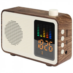 Radio FM z Głośnikiem Bezprzewodowym ER CLASSIC CCP1M20 Plastikowe