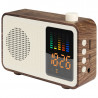 Radio FM z Głośnikiem Bezprzewodowym ER CLASSIC CCP1M20 Plastikowe