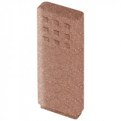 Biodegradable ER CLASSIC CCE196B Pendrive