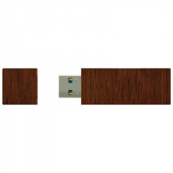 Wooden GOODRAM ECO UEC Pendrive