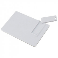 Plastic ER CARD CD107 Pendrive with printing