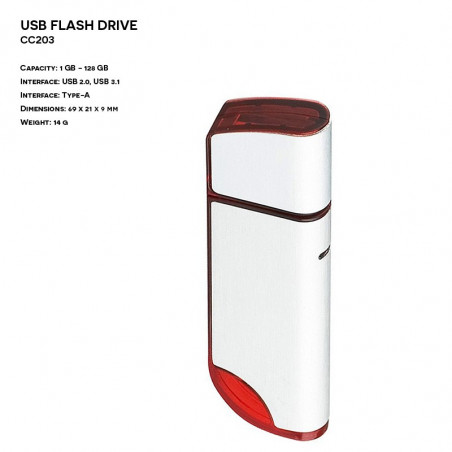 Pendrive ER CLASSIC CC203 Plastikowo - Metalowy