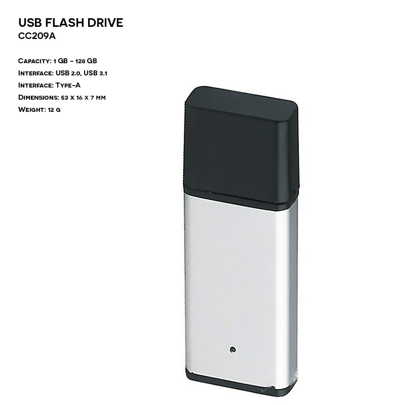 Pendrive ER CLASSIC CC209A Plastikowo - Metalowy